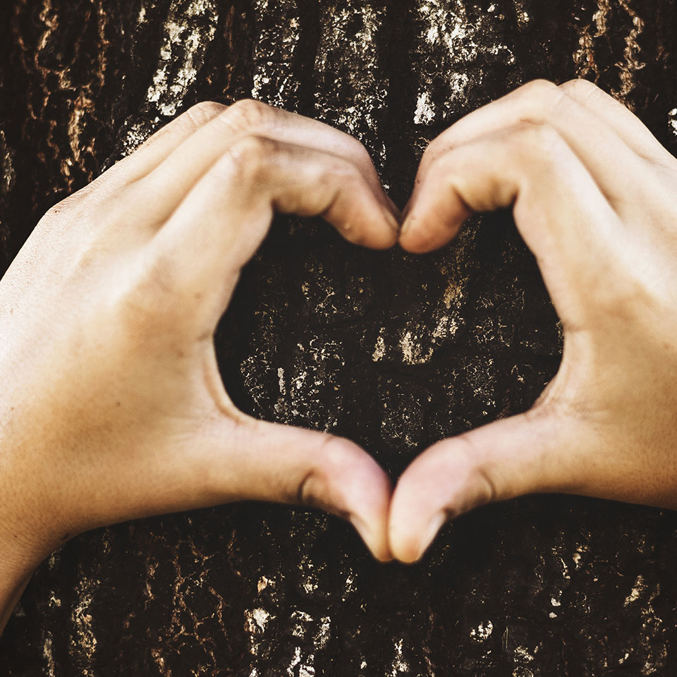 News Carers Scotland Recognises Ecom Scotland As An Established Caring Employer