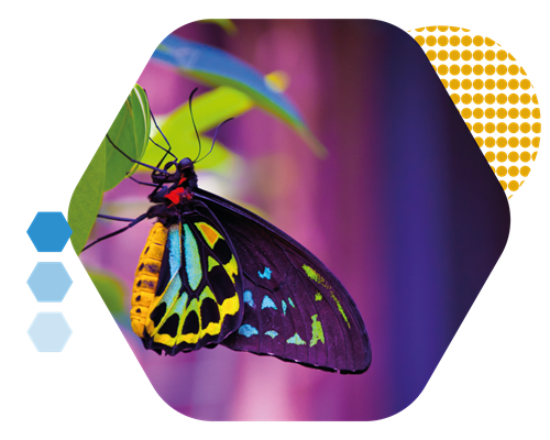 Deliver the training your subcontractors need